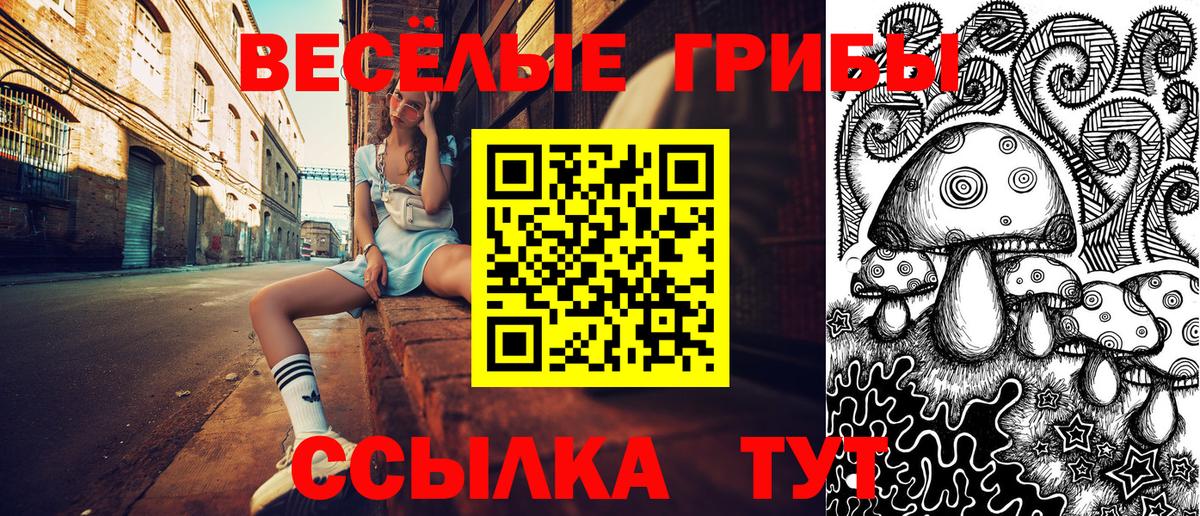 Псилоцибиновые грибы прущие грибы  Вход с VPN  Кандалакша 