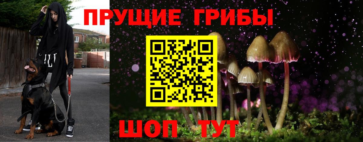 Псилоцибиновые грибы ЛСД Кандалакша